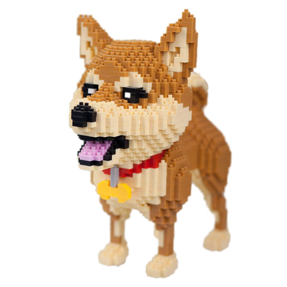 Kids Education Recreation - รู้สร้าง Shiba Inu สุนัขรุ่น Micro Mini