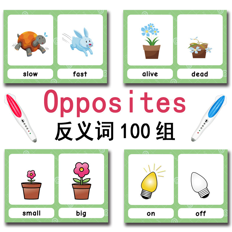 แฟลชการ์ดคำศัพท์ภาษาอังกฤษ 100 - Kids Education School บทวิจารณ์และราคา