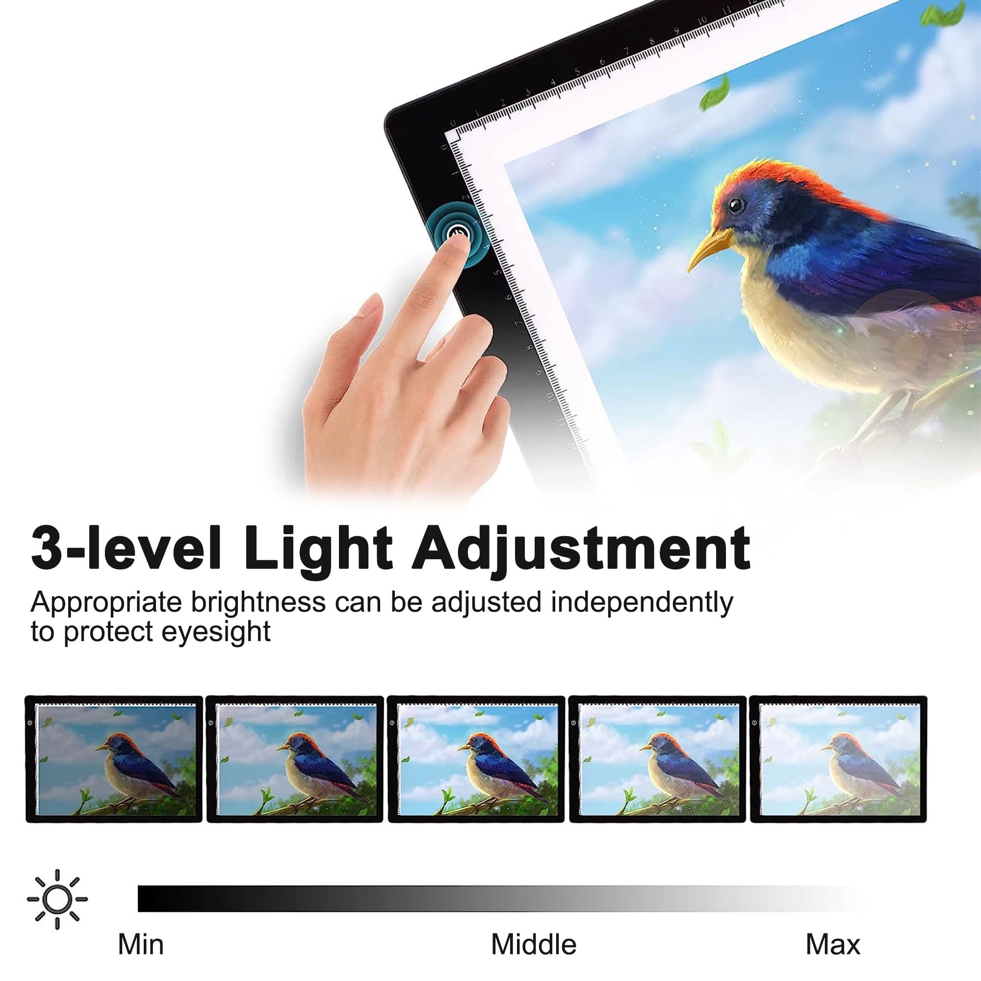 แผ่นวาดภาพ LED ปรับแสงได้ 3 ระ - Kids Education Tablets บทวิจารณ์และราคา