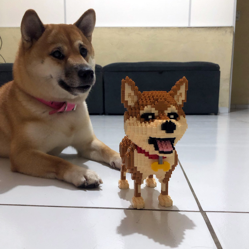 รู้สร้าง Shiba Inu สุนัขรุ่น M - Kids Education Recreation บทวิจารณ์และราคา
