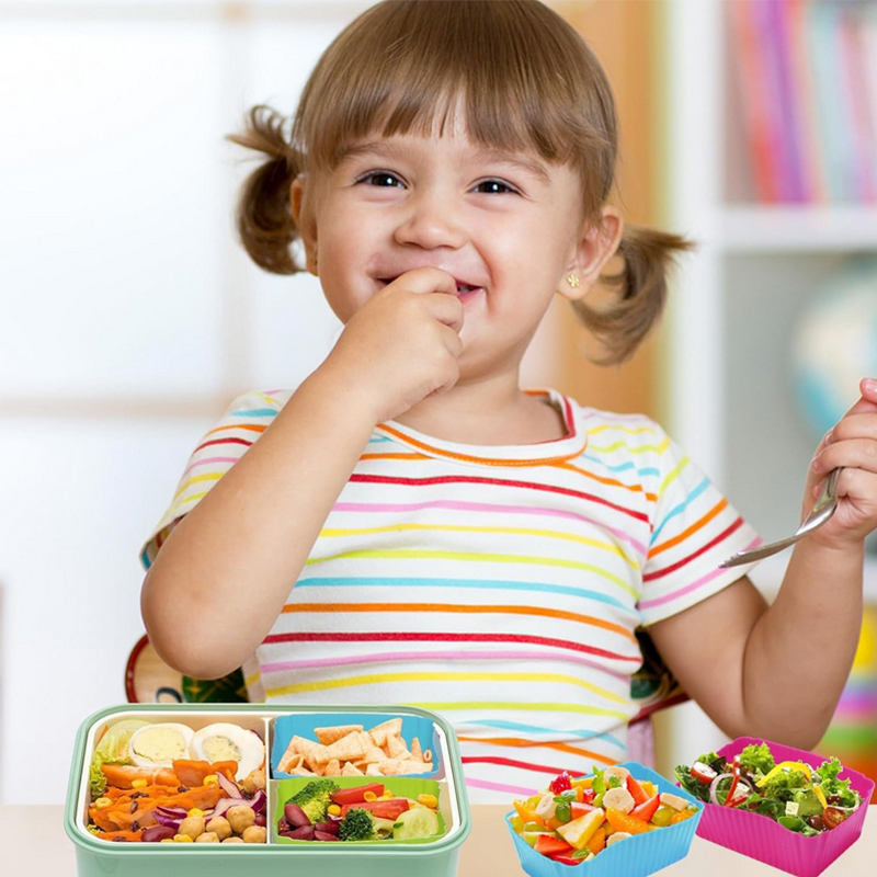 แผ่นกั้นกล่องอาหารกลางวันซิลิโ - Kids Education School บทวิจารณ์และราคา