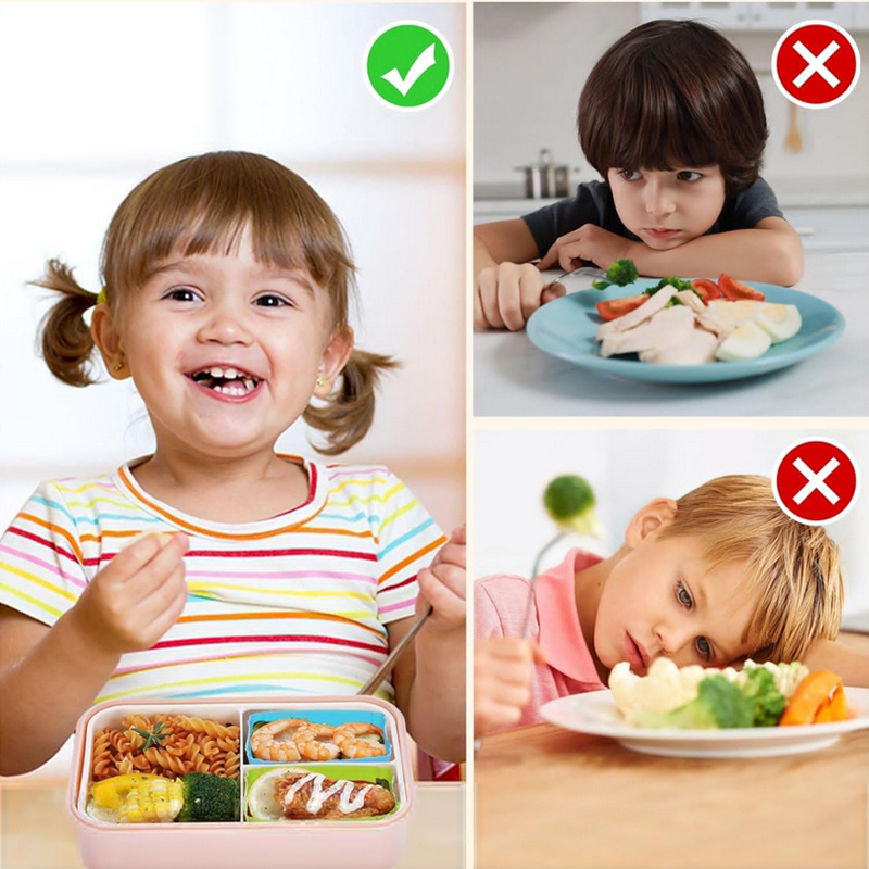 แผ่นกั้นกล่องอาหารกลางวันซิลิโ - Kids Education School บทวิจารณ์และราคา