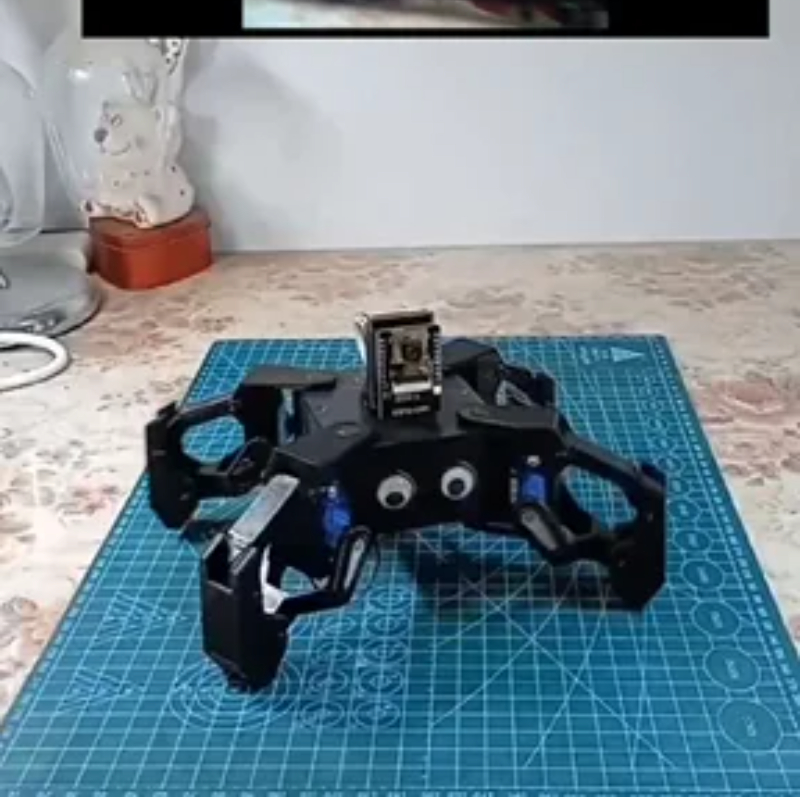 หุ่นยนต์แมงมุม SG90 พร้อมกล้อง - Coding Robot Toy บทวิจารณ์และราคา